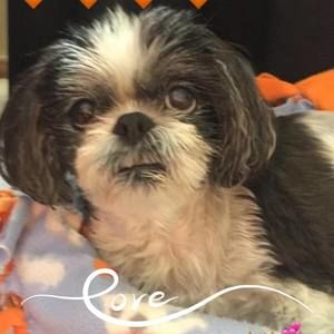 Meet your Posher, Kay